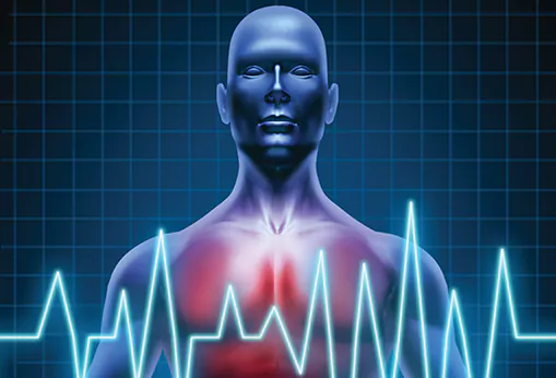 an image of a body