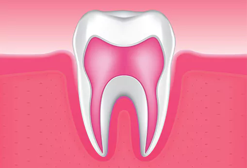 tooth